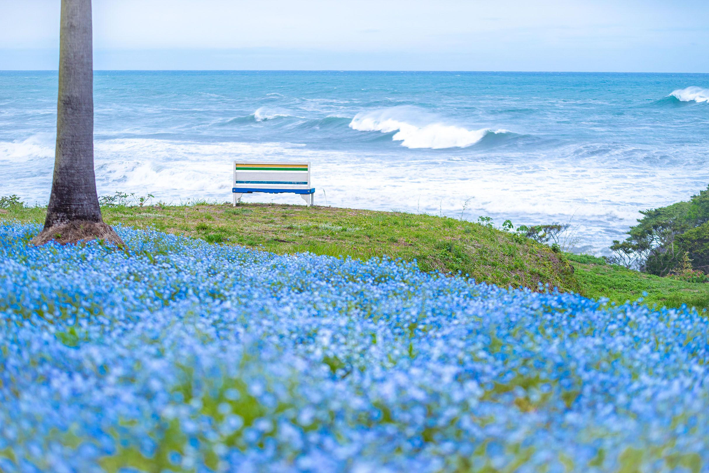 メインビジュアル